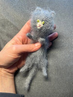 Котик к9 фото