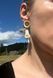 earrings Gesture of Goodwill